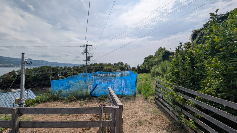 海を望む戸建て【移住者向け家賃補助あり】 写真22